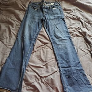 Hollister bootcut jeans